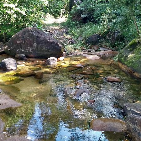 Hotel Fazenda Monte Crista Rio Bonito  外观 照片