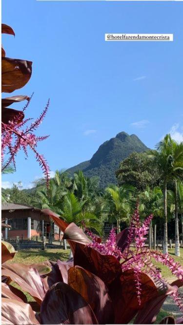 Hotel Fazenda Monte Crista Rio Bonito  外观 照片
